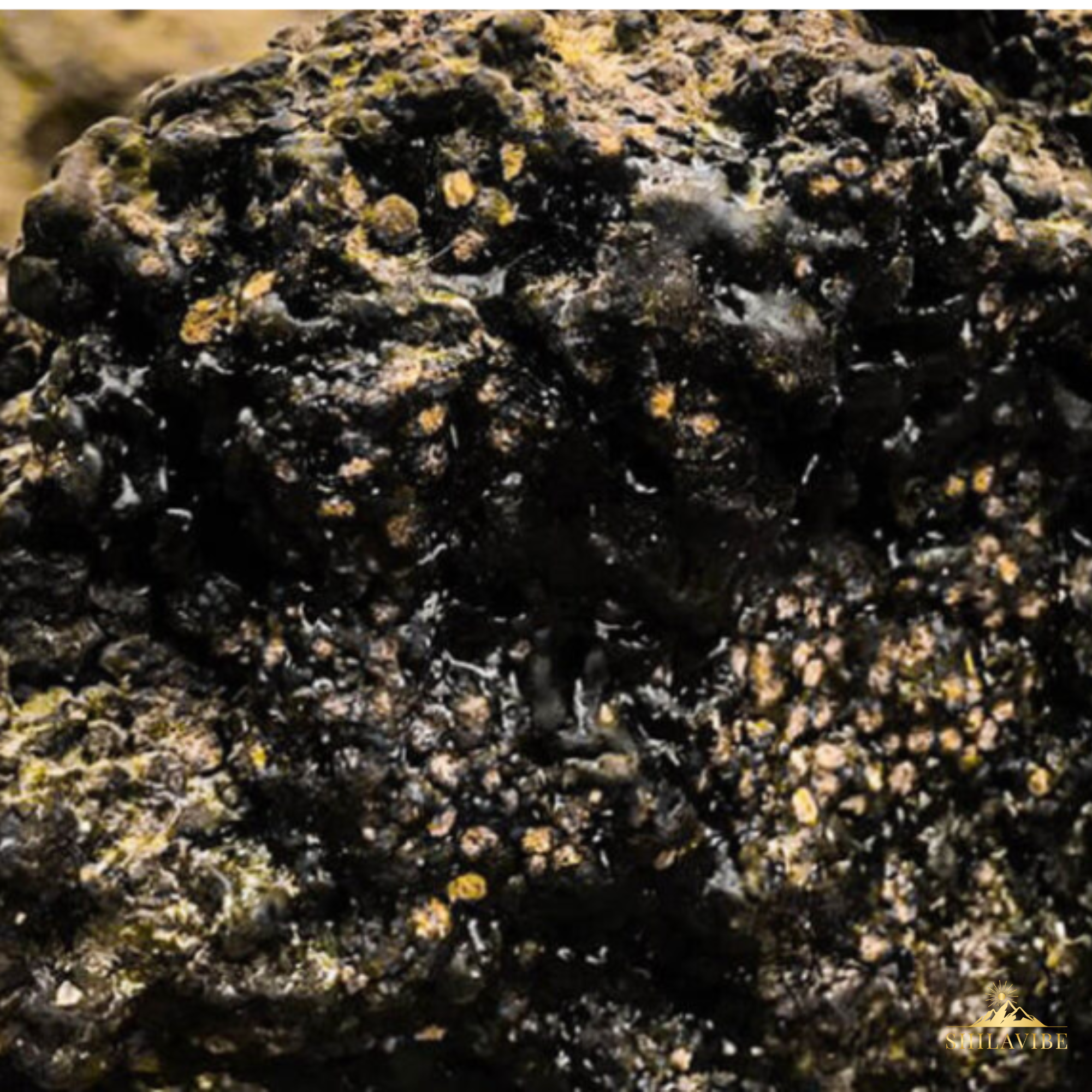 Was ist Shilajit ? Das schwarze Gold der Natur