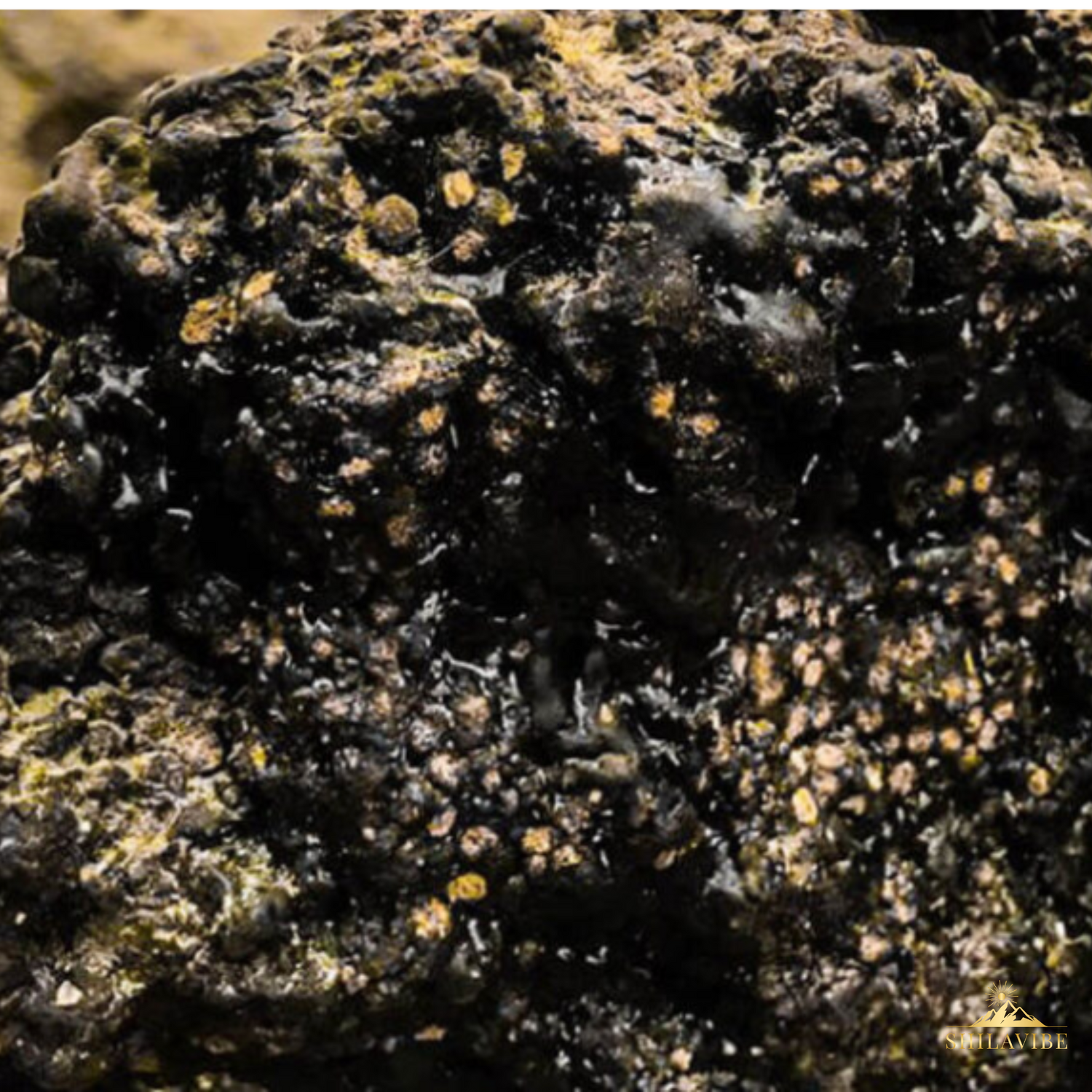 Was ist Shilajit ? Das schwarze Gold der Natur